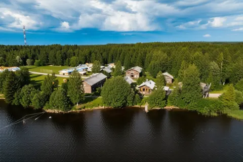 Мандроги
