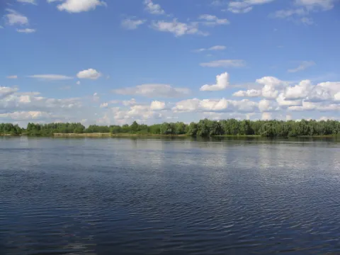 Мозырь