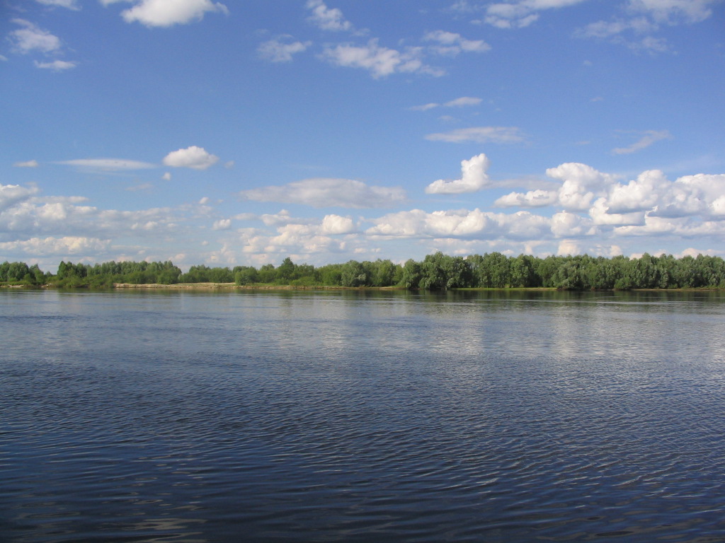 Мозырь