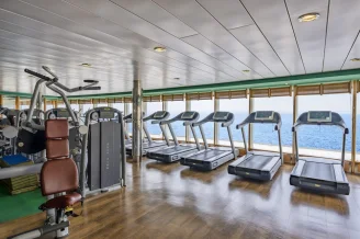 Тренажёрный зал от Technogym на теплоходе MSC Sinfonia